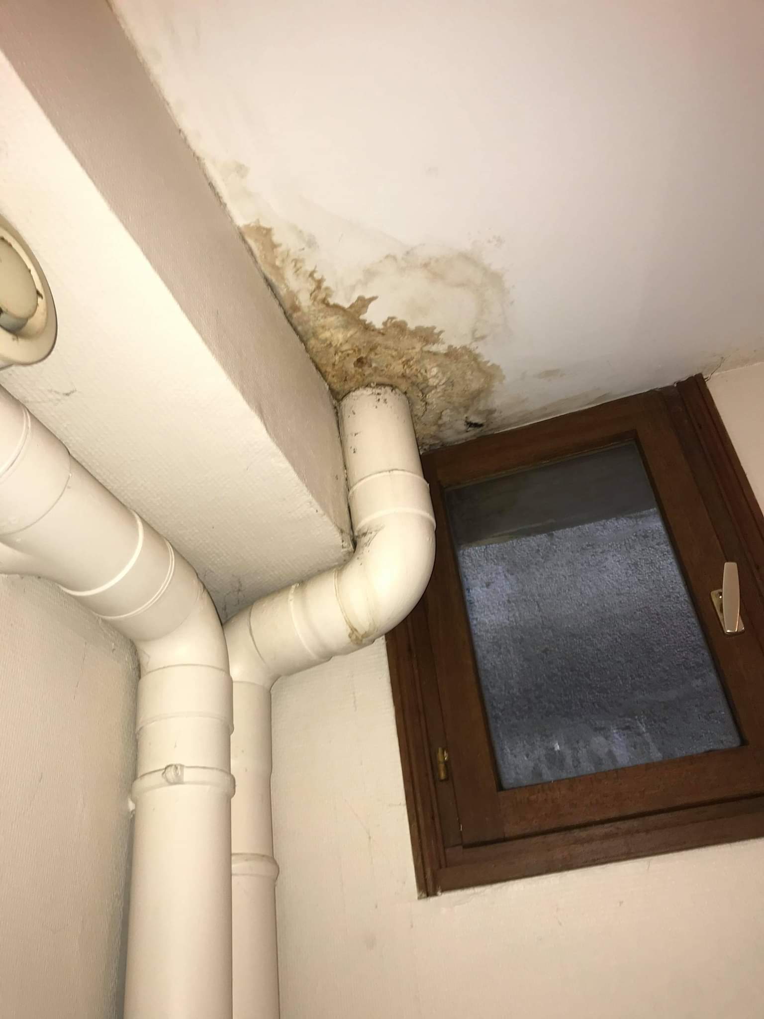 LMNP à Le Mans, 3 Rue Dorée, avant travaux